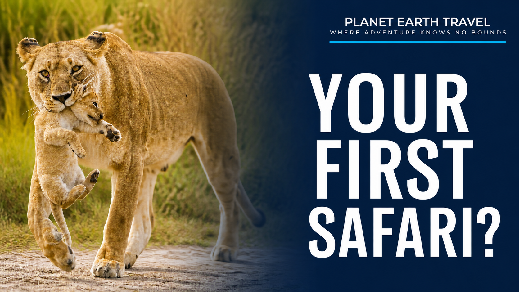 Lioness carrying her cub beside the words Your First Safari?
